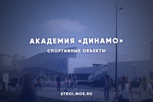 Какой станет академия спорта «Динамо»