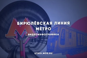 Видеоинфографика: какой будет Бирюлёвская линия метро