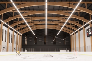 Ледовые арены в МФК N’ICE LOFT планируется построить в 2024 году