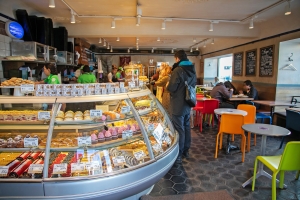 Город выставит на торги по аренде три земельных участка в Новой Москве