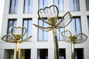 Четырехметровые маки «расцвели» на территории жилого дома в Хамовниках