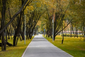 Пешеходный бульвар появится на участке бывшей промзоны «Северянин»