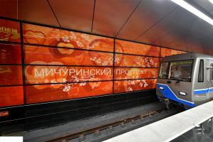 «Мичуринский проспект»