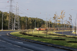 Около 1,4 тыс. деревьев высадили в рамках благоустройства бульвара вдоль МСД