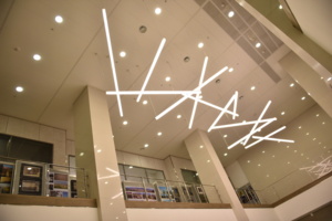 В «Доме на Брестской» запустили программу «Бережливый офис – 5С»