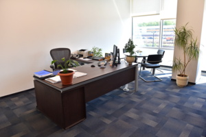 Почти 5 тыс. осмотров объектов недвижимости провели для инвесторов за полгода