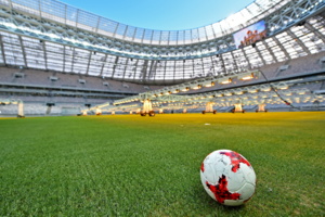 Стадион «Лужники» соответствует всем международным стандартам - посол ЧМ-2018