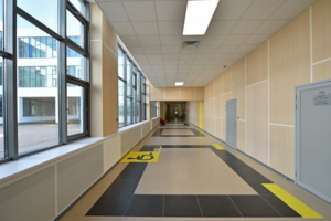 Реконструкция зданий двух школ в Новой Москве завершится в этом году