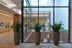 В Москве построят 17 гостиниц в этом году – Собянин