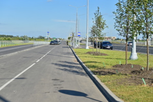 В ЖК «Саларьево парк» построят дорогу к социальным объектам