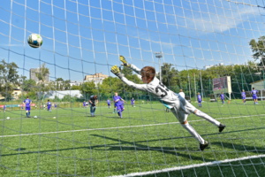 Пять футбольных полей с искусственным газоном откроют в Москве в этом году - Собянин