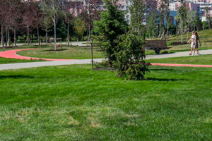 Андрей Асадов: «Идея создания города нового, актуального для времени формата интересует меня уже много лет»