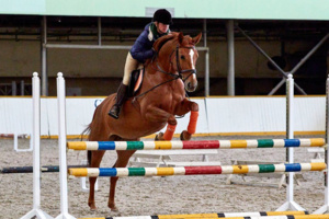 Центральный московский ипподром будет реконструирован за три года