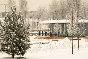 В Новой Москве появится 86 парков к 2035 году