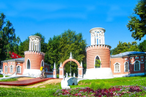 Реставраторы спасут раритетные строения Воронцовского парка