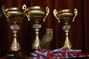 Чемпионы отрасли: на следующей неделе Санкт-Петербург встречает финалистов МСЧ-2023