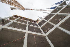 Восемь участков выделено для реализации МаИП в Зеленограде по льготной ставке