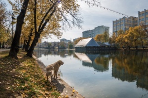 В Новой Москве построят улицу и благоустроят Яшкинский пруд