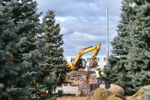 Территорию новой больницы в ТиНАО украсят сосны, яблони, сирень и розы