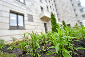 На юго-западе Москвы более 12 тыс. человек начали переселение по программе реновации