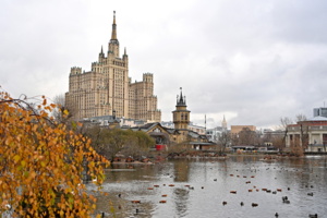 Братьям нашим меньшим