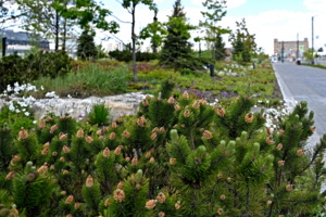 В бывшей промзоне «ЗИЛ» построили дорогу с пешеходным ограждением
