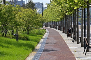 Счастливый город