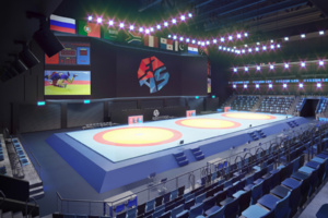 Международный центр самбо и центр бокса в «Лужниках» готовы на 99% – Бочкарёв