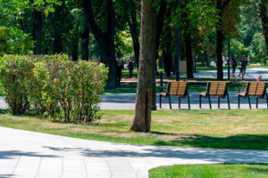 Общественное пространство обустроят у метро «Строгино» Рублёво-Архангельской линии