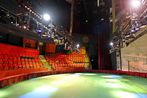 Стартовал конкурс на реконструкцию комплекса зданий театра «Уголок дедушки Дурова»