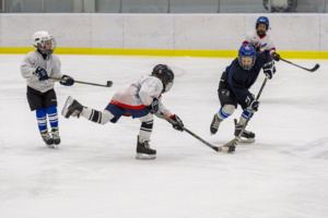 Спорткомплекс с ледовой ареной в Троицке построят в 2024 году