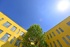 Коливинг «Сосенки» поставлен на кадастровый учет в ТиНАО