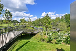 Комплекс «Исцеляющие сады» в Сколково построят в три очереди