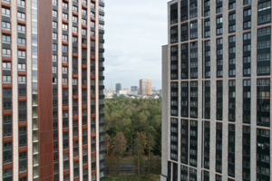 С начала реализации программы реновации более чем в 90 районах и поселениях столицы началось переселение горожан