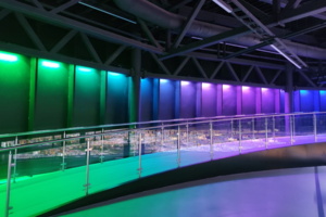 Фотовыставка новогодних открыток открыта в павильоне «Макет Москвы»