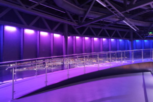 Более 93 тыс. человек посмотрели шоу «Говорит Москва!»