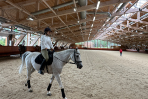 Конноспортивный клуб появится в районе Внуково в рамках МаИП
