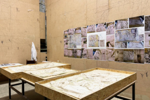 Унесенные временем: барельефы Чижевского подворья отреставрируют