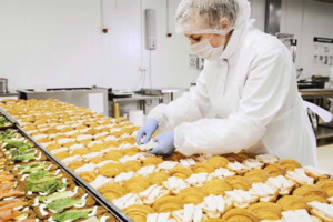 Город выделил 177 га земли для строительства производственных объектов