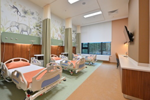 Собянин: более 30 объектов здравоохранения построят в Москве за три года