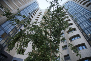 В проблемный ЖК «Марушкино» завезли все МАФ и зеленые насаждения для благоустройства территории