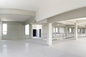 Общественно-деловой центр появится в районе Басманный в рамках КРТ