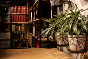 Книгу «Сивцев Вражек» обсудят в книжном клубе Библиотеки архитекторов и урбанистов