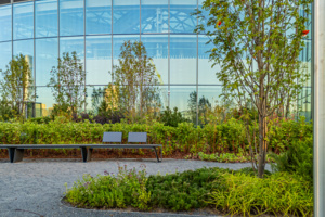 Зона отдыха с ландшафтным парком создана на стилобате офисного центра в ЦАО