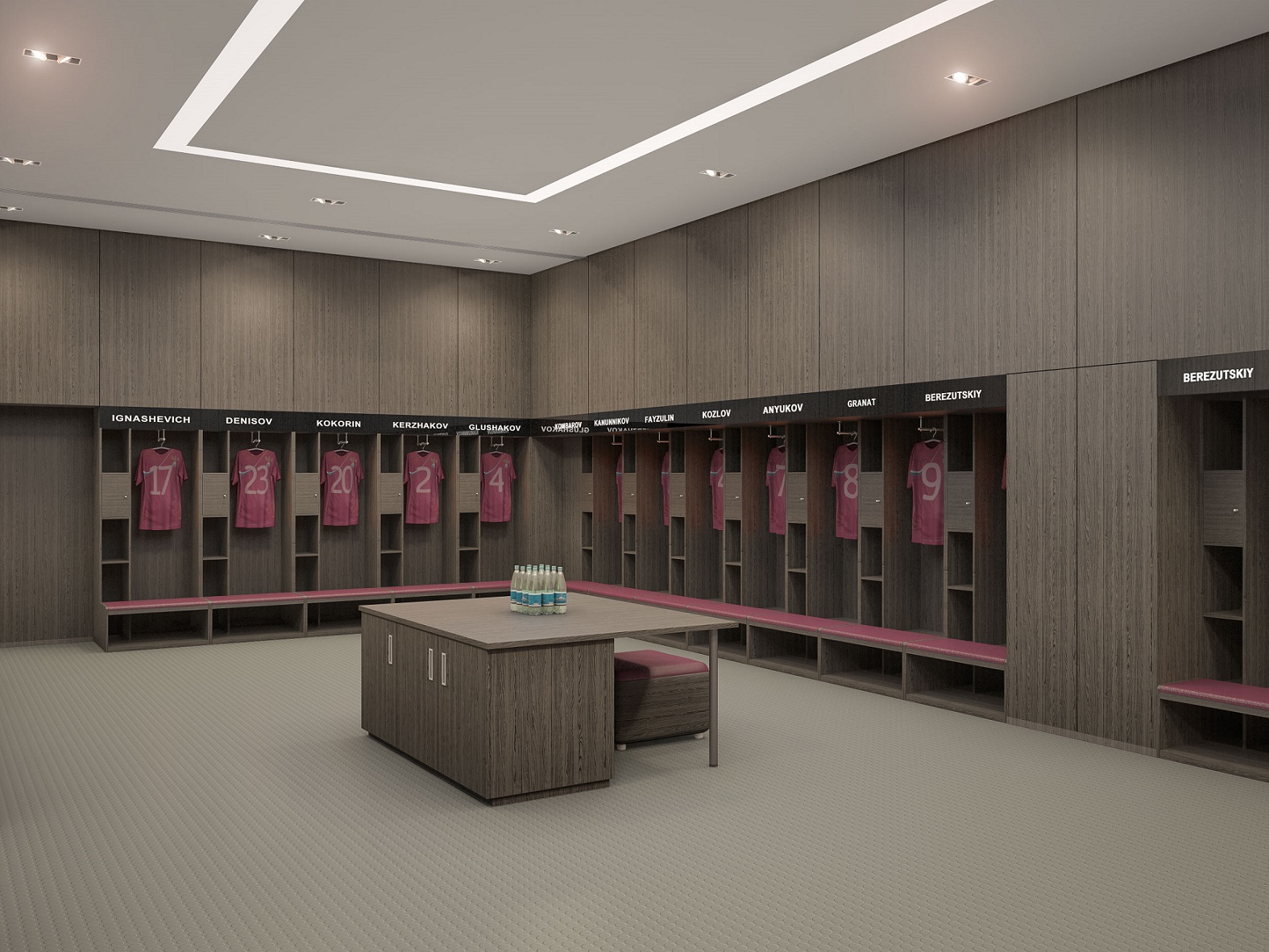 Лужники (проект)