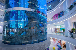 Спорткомплекс, магазины и паркинг появятся в поселении Московский