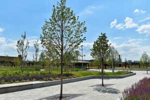 Мосинжпроект создает проект крупного парка в Магнитогорске