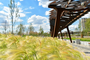 Парк «Тюфелева роща» на ЗИЛе – в сюжете stroi.mos.ru