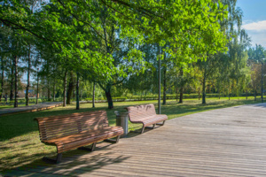 В районе Бирюлево Западное появится благоустроенная зона