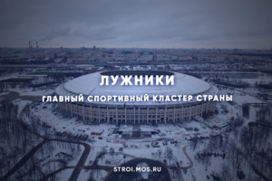 Лужники – главный спортивный кластер страны
